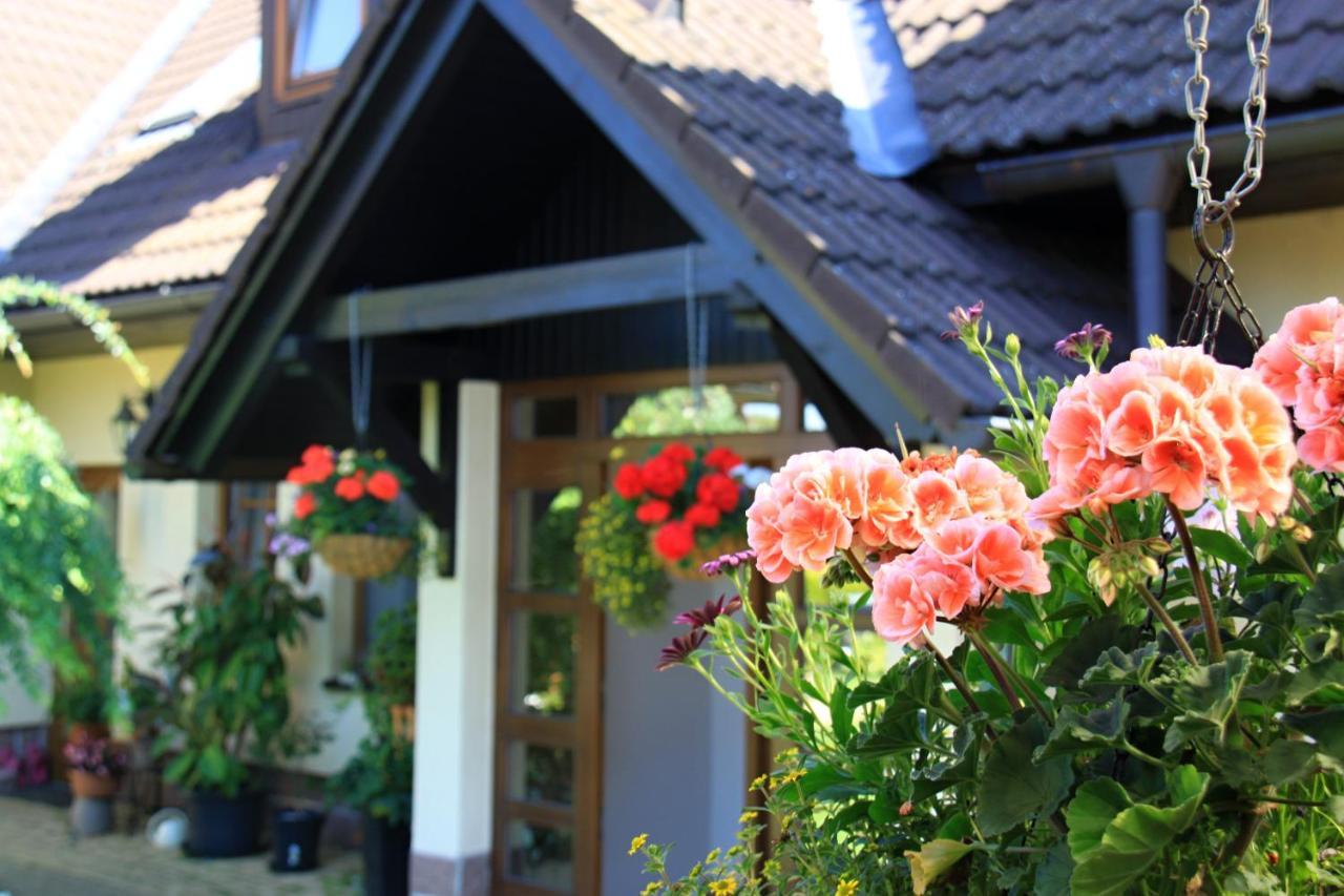 Ubytovani Zdarske Vrchy Světnov Buitenkant foto